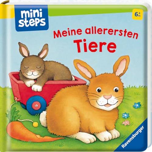 ministeps: Meine allerersten Tiere: Ab 6 Monaten